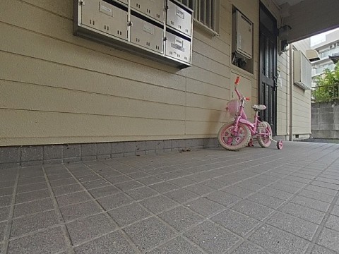 パノラマ