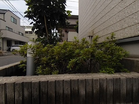 パノラマ