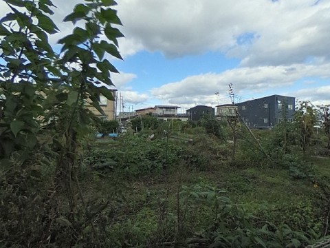 パノラマ