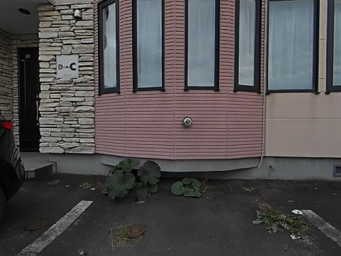 パノラマ