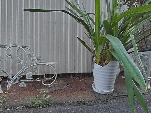 パノラマ
