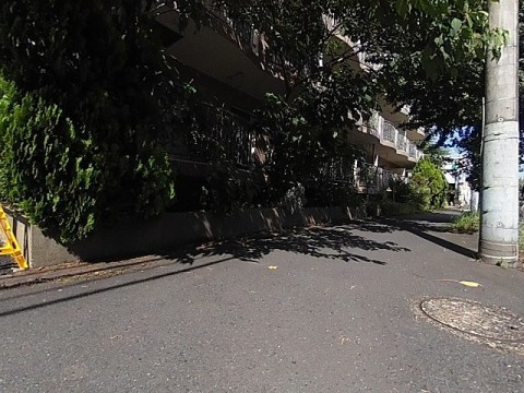 パノラマ